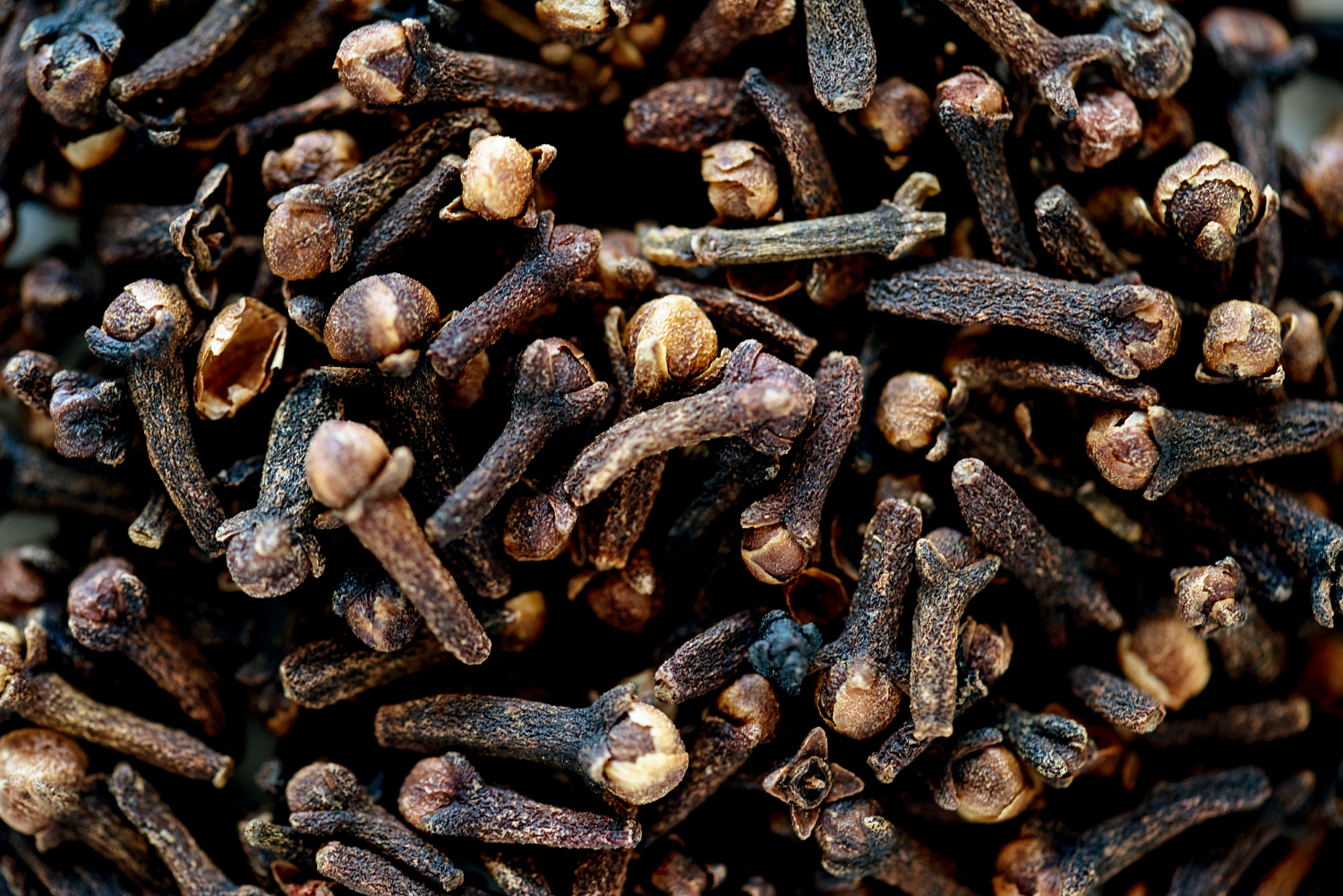 Ceylon Cloves
